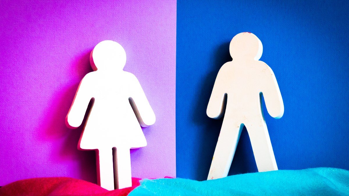 Picture depicting female and male genders