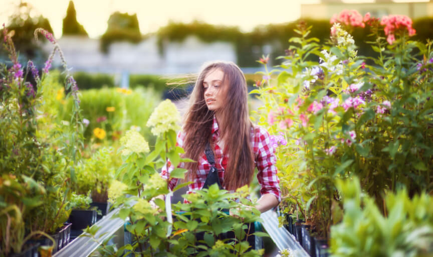 A shopper in a garden centre browsing the products on display, an example of an interaction that could be improved by capturing the "voice of the customer".