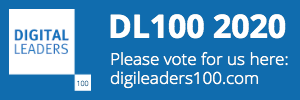 DL100 Voting Footer - Blue